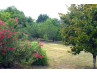sale Properties / Fields Salles Lavalette