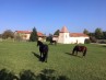sale Properties / Fields Verteillac