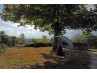 Vente Propriétés/Domaines Celles
